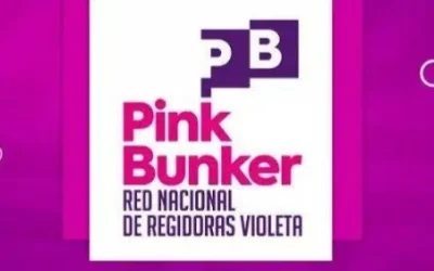 OPINIÓN | Red Nacional de Regidoras Violeta